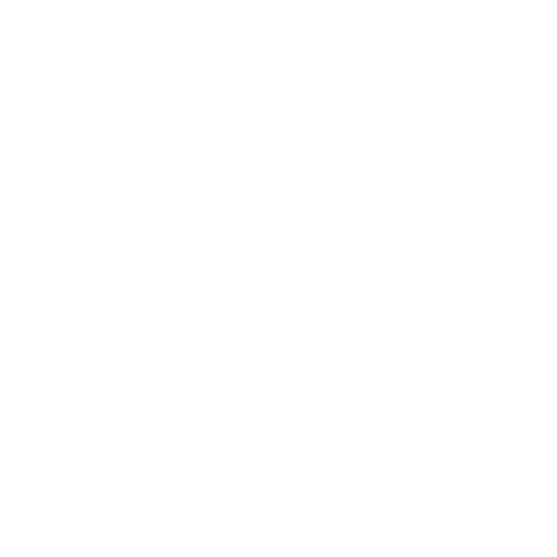 WhatsApp Icon